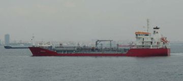PAVINO